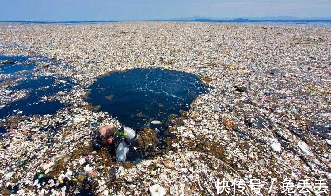 星空下载站官网所有人都是污染的受害者：我